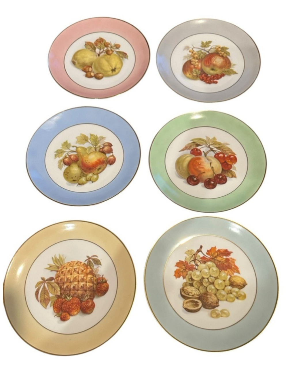 Six (6) Beautiful Vintage Tirschenreuth Bavaria ~ Pasco #2593 ~ Fruit Plate Set